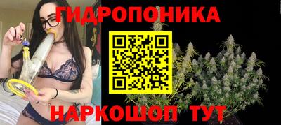 амф Гатчина