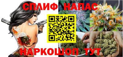 амф Гатчина
